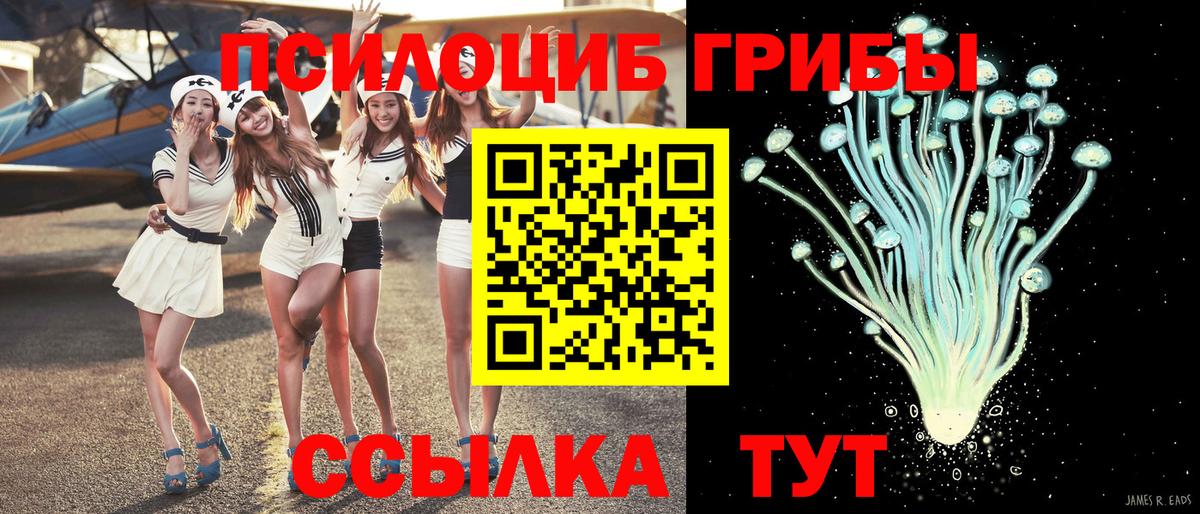 Галлюциногенные грибы Magic Shrooms Рубцовск