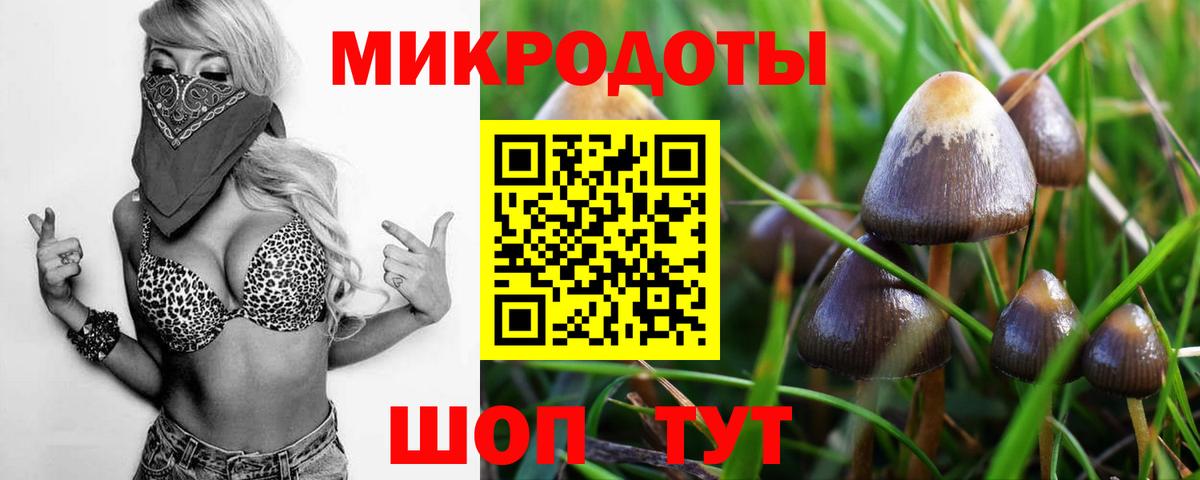 Псилоцибиновые грибы прущие грибы  Вход с VPN  как найти   Рубцовск 